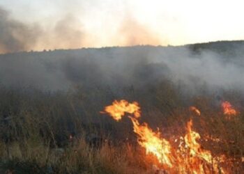 Samuxda açıq ərazidə yanğın başlayıb