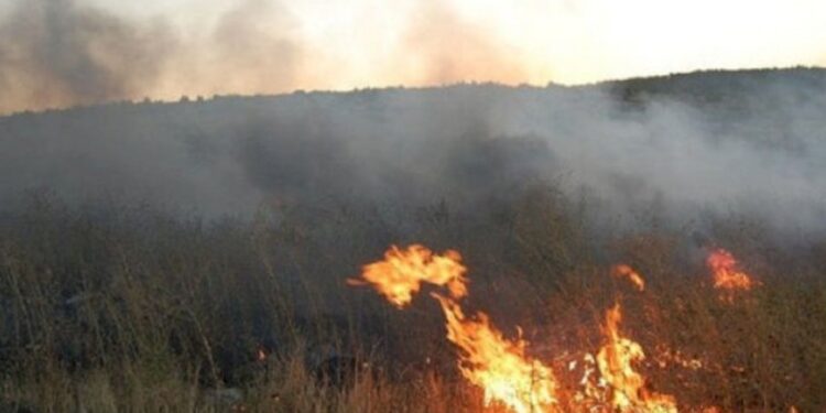 Samuxda açıq ərazidə yanğın başlayıb