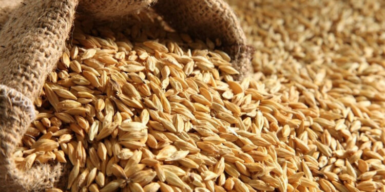 Macarıstan Ukraynadan buğda idxalını bərpa etməyəcək