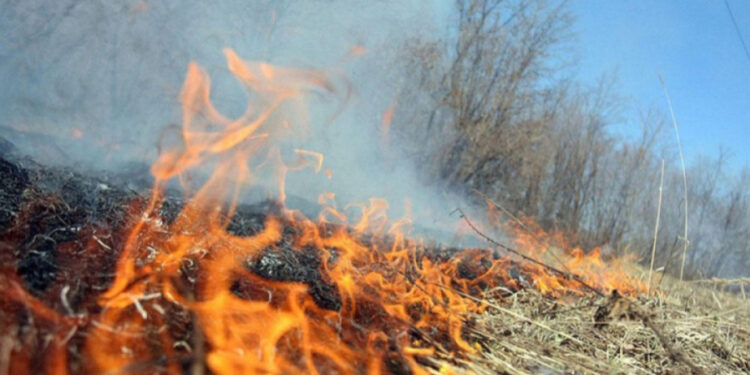 Xocavənd və Ağdərədəki yanğınlar söndürüldü