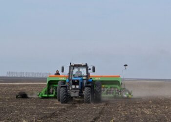 Xocalıda əkin təyinatlı torpaqların icarəyə verilməsi prosesi başlanıb