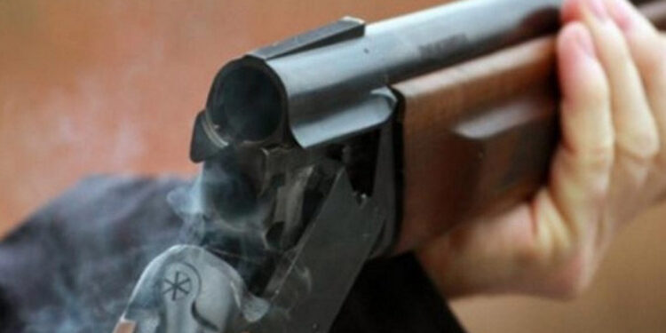 87 yaşlı anasını güllələyərək yaraladı - özünü isə öldürdü