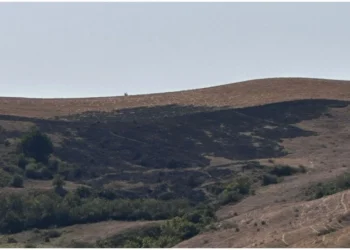 Şamaxıda yanğın törədən şəxs məsuliyyətə cəlb olunub