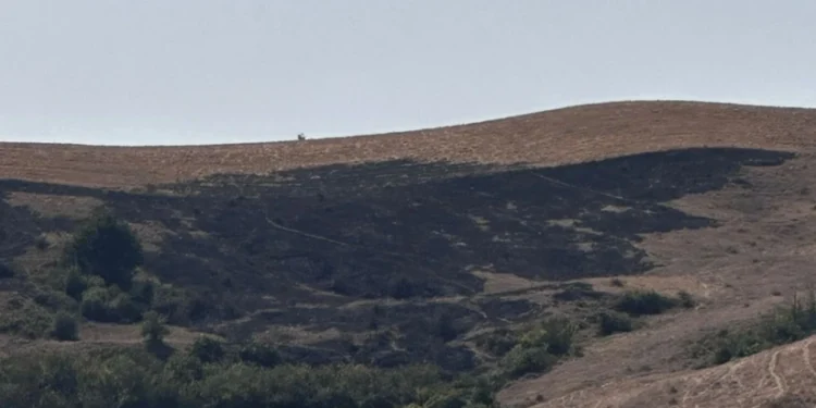 Şamaxıda yanğın törədən şəxs məsuliyyətə cəlb olunub