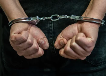 Xəzər rayonunda 17 min manatlıq mal-qara oğurlanıb