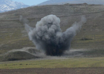 Goranboyda heyvanlar minaya düşüb
