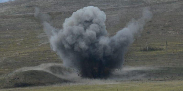 Goranboyda heyvanlar minaya düşüb