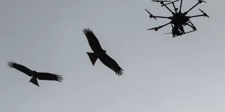 Rumıniya Rusiyanı hava məkanını pozmaqda ittiham ETDİ