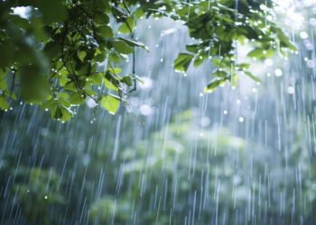 Sabah yağış yağacaq – PROQNOZ