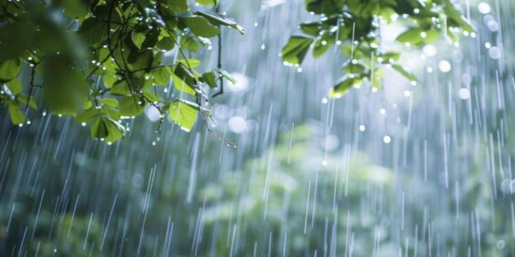 Sabah yağış yağacaq - PROQNOZ