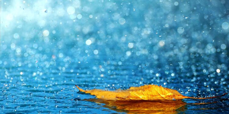 Bəzi ərazilərdə yağıntılı hava şəraiti davam edib