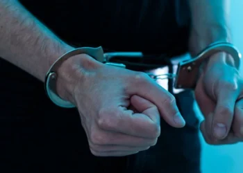 Gürcüstanda 30 kriminal avtoritet həbs edildi