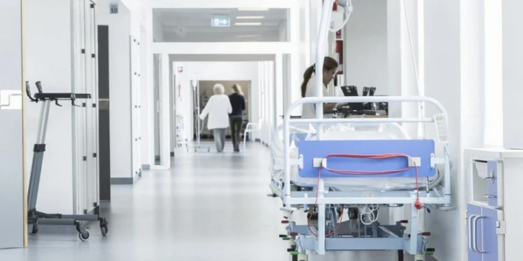 Qoz ağacından yıxılan 65 yaşlı kişi ölüb