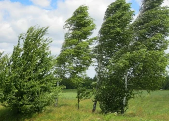Bakıda külək güclənib – FAKTİKİ HAVA