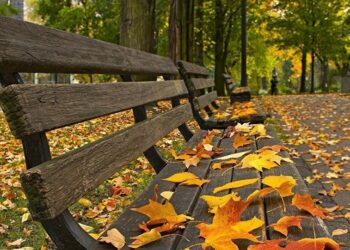 Azərbaycanda payız fəslinin başlanacağı tarix açıqlandı