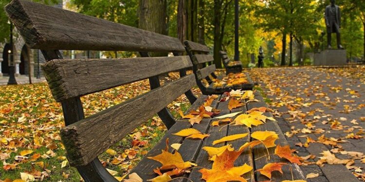 Azərbaycanda payız fəslinin başlanacağı tarix açıqlandı