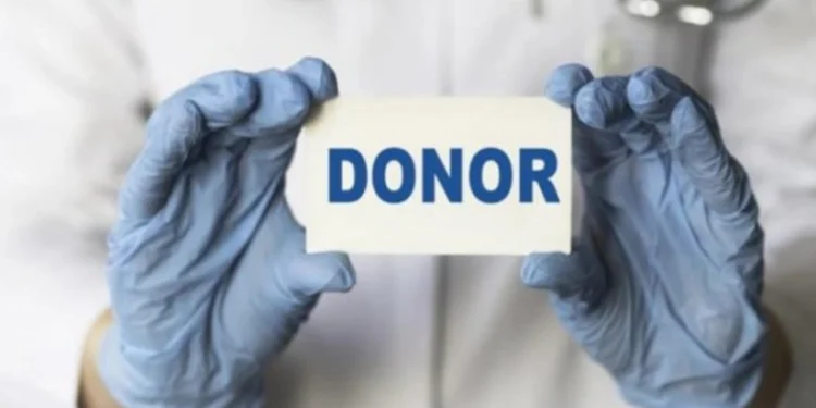 544 nəfər ölümündən sonra donor olmaq üçün qeydiyyatdadır - RƏSMİ