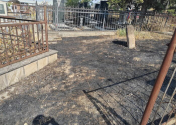 Qəbiristanlıqlarda yanğına səbəb olan şəxslər saxlanılıblar