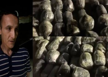 Polis Bakıda əməliyyat keçirib, 60 kq narkotik aşkarlanıb – VİDEO