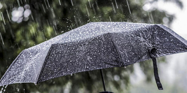 Yağış yağır, külək əsir - FAKTİKİ HAVA