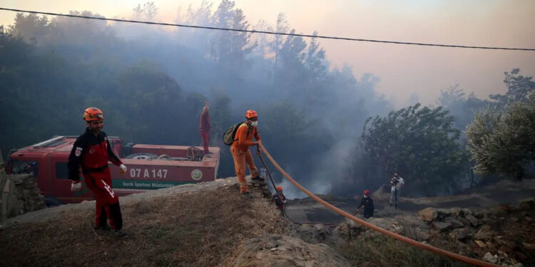 Türkiyədə meşə yanğınlarında həlak olanlara şəhid statusu veriləcək