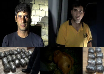 DİN əməliyyat keçirib, 30 kq narkotik aşkarlanıb – VİDEO