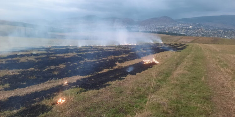 Şamaxıda yanğın törədən şəxs məsuliyyətə cəlb olundu