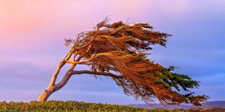 Növbəti dörd gündə güclü külək əsəcək - XƏBƏRDARLIQ