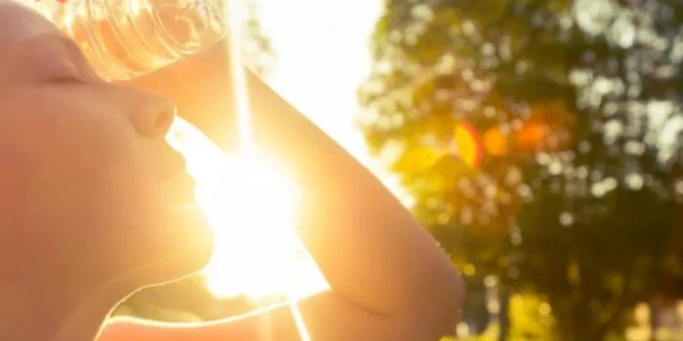 Bu ilin yay ayında 100-ə yaxın insanı gün vurub