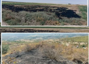 Füzuli və Xocavənddə yanğın törədən şəxslər məsuliyyətə cəlb olunublar