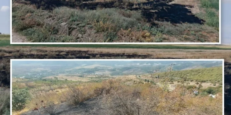 Füzuli və Xocavənddə yanğın törədən şəxslər məsuliyyətə cəlb olunublar