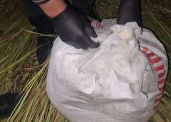 Zərdabda narkotik əməliyyatı – 2 nəfər həbs edildi