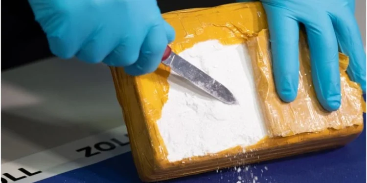 Rusiyaya gələn gəmidə 1,5 tondan artıq kokain aşkarlanıb