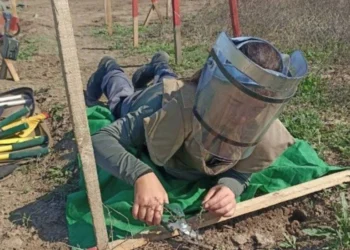 Azərbaycanda minaaxtaran qadınların sayı açıqlandı