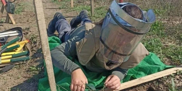 Azərbaycanda minaaxtaran qadınların sayı açıqlandı