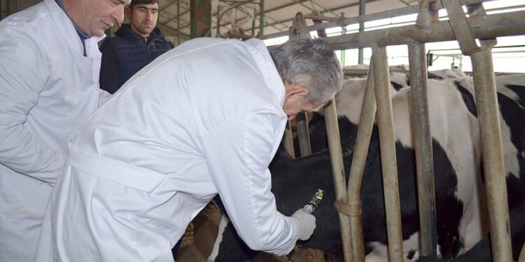 Baytarlıq ştampları ilə nişanlanma məcburi olacaq