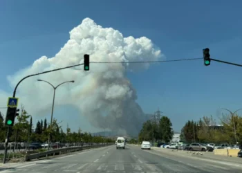 Türkiyənin Bursa şəhərində meşə yanğını başlayıb