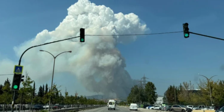 Türkiyənin Bursa şəhərində meşə yanğını başlayıb