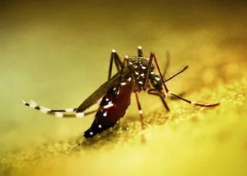 Çində yeni virus həyatı iflic etdi – Fövqəladə vəziyyət elan edildi