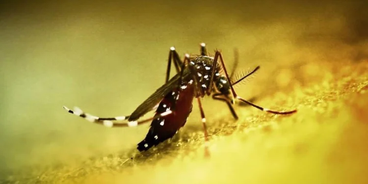 Çində yeni virus həyatı iflic etdi - Fövqəladə vəziyyət elan edildi