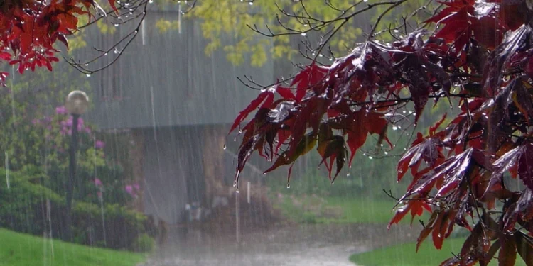 Bəzi rayonlara leysan yağıb - FAKTİKİ HAVA