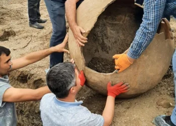 Masallıda antik dövrə aid küp məzarı üzə çıxıb