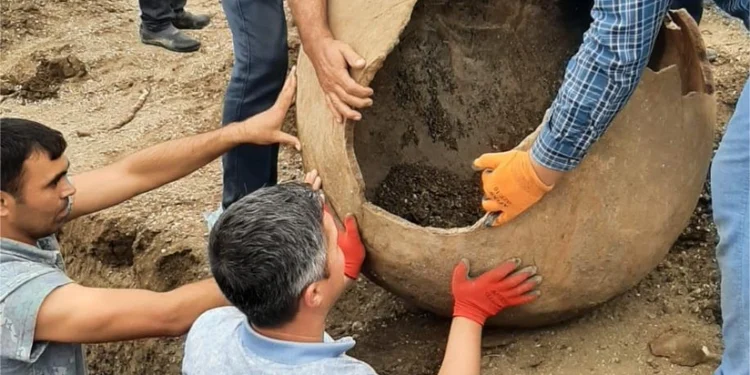 Masallıda antik dövrə aid küp məzarı üzə çıxıb