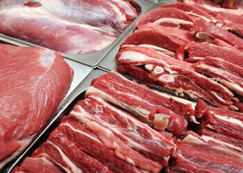 Ət niyə bahalaşdı? – Qəssablar yeni qiymətlərdən danışdı – VİDEO