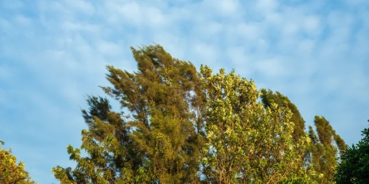 Oktyabrın ilk günü hava yağıntılı və küləkli olacaq - PROQNOZ
