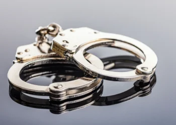 Ermənistanın ABŞ-yə yeni təyin olunmuş səfirinin qardaşı saxlanılıb