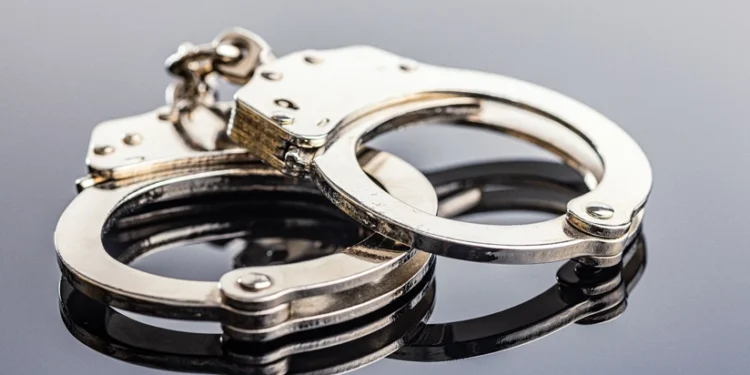 Ermənistanın ABŞ-yə yeni təyin olunmuş səfirinin qardaşı saxlanılıb