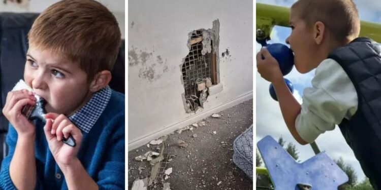 Uşaqları kabellərdən tutmuş xalçalara qədər hər şeyi yeyir - Ümidsiz qalan ailə