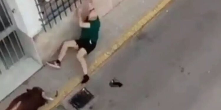 İspaniyada öküz festivalı fəlakətə çevrildi - 57 yaşlı kişi faciəvi şəkildə öldü