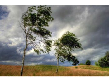 Nazirlik hava şəraiti ilə bağlı əhaliyə müraciət etdi
